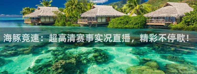 海豚竞速：超高清赛事实况直播，精彩不停歇！
