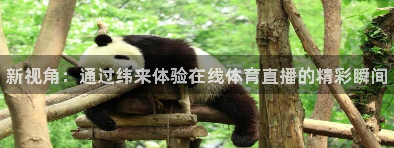 新视角：通过纬来体验在线体育直播的精彩瞬间